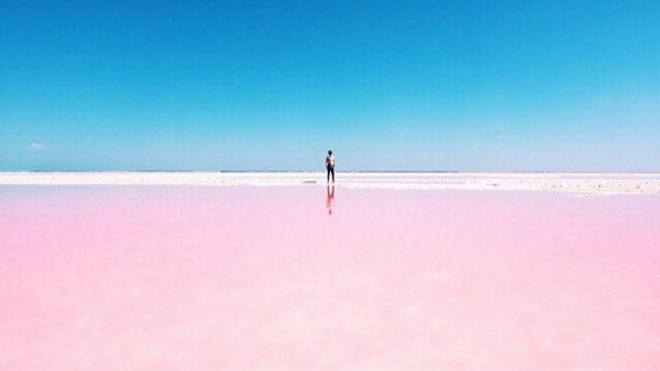 粉红湖与蓝天